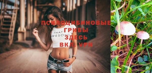 соль ск Майский