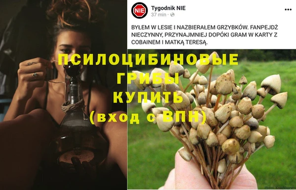 соль ск Майский